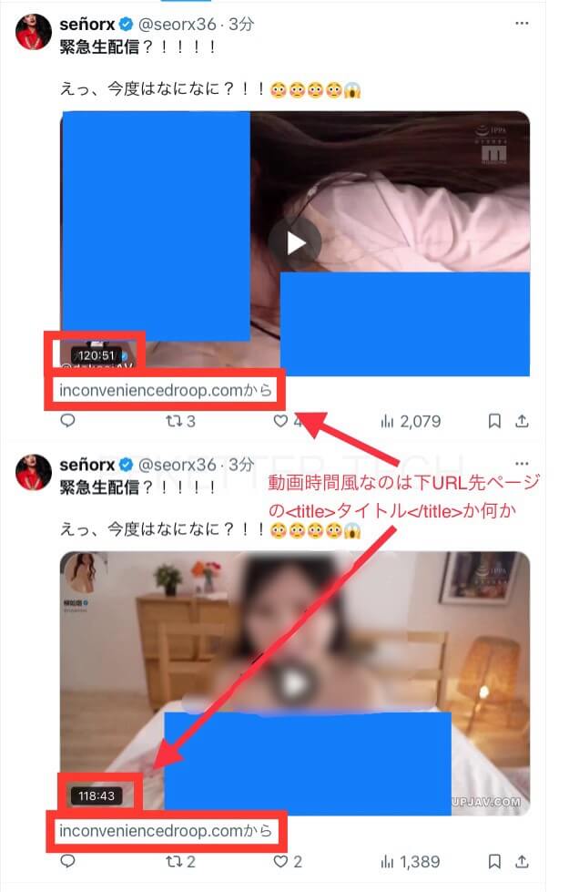 悶絶デンマ責め Twitter で知り合ったグラ女子大生はエロ過ぎでした… みるか 20歳: