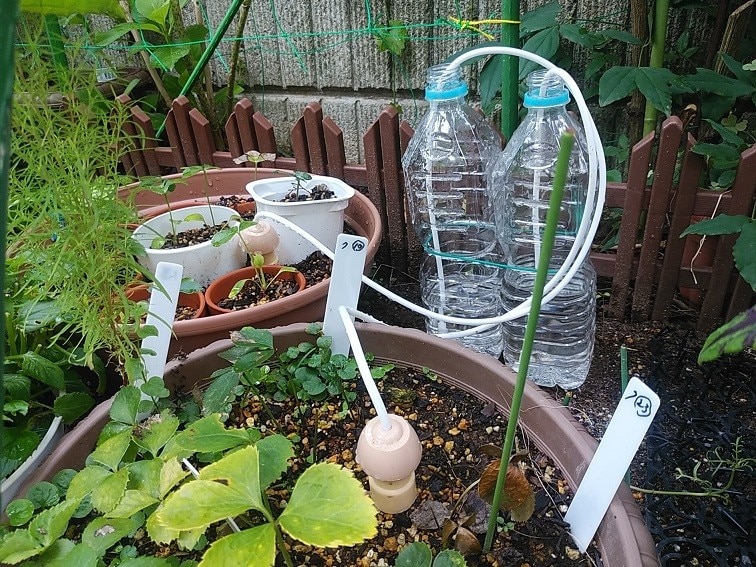 安心して旅行に行ける「留守中の水やり」の方法LOVEGREEN ラブグリーン