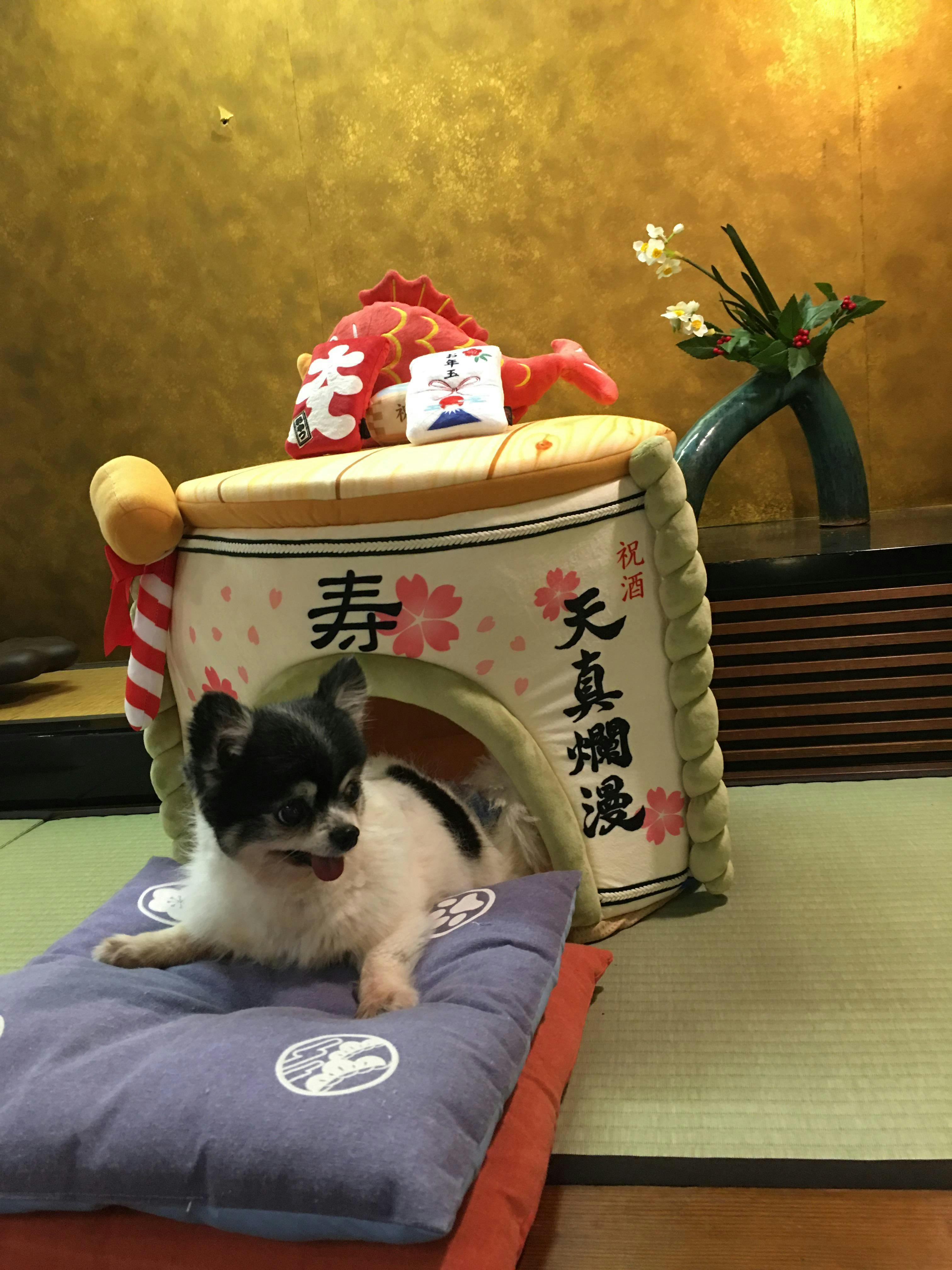 愛犬と過ごす本格旅館 月香 -