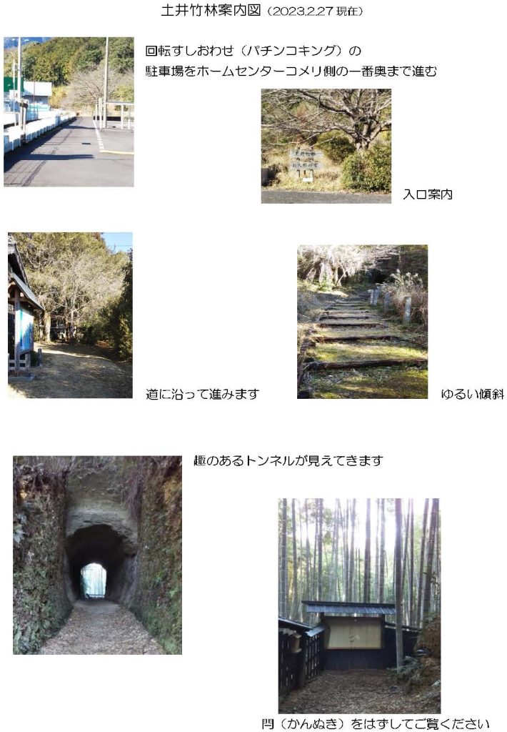 土井竹林青の鼓動、感じる。東紀州観光手帖