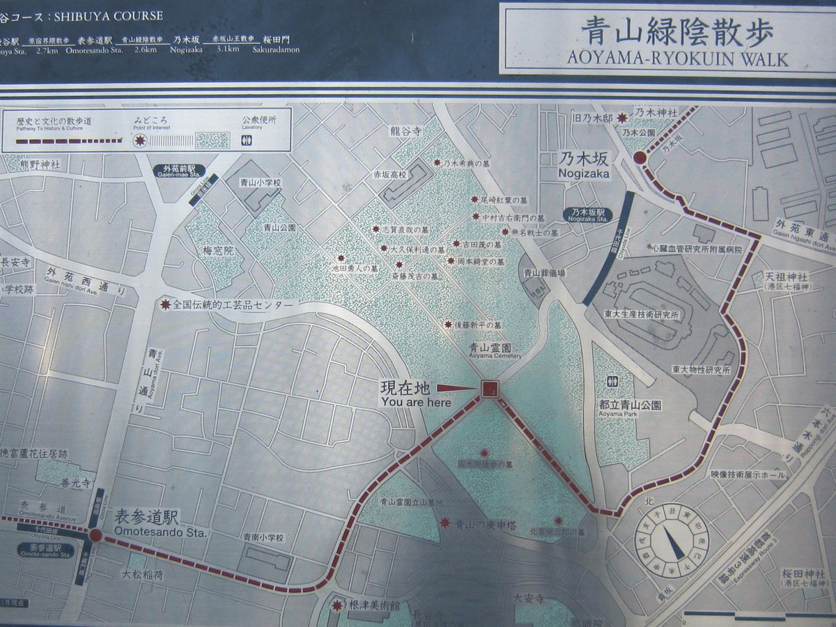 青山霊園で！東京のお花見スポット2021 - OZmall