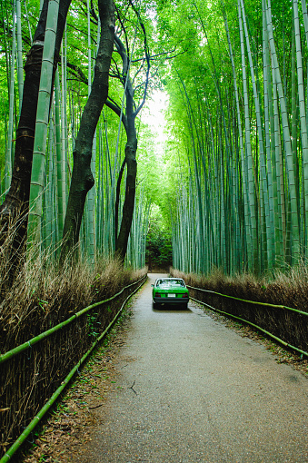 観光スポット - 京都アサヒタクシー株式会社
