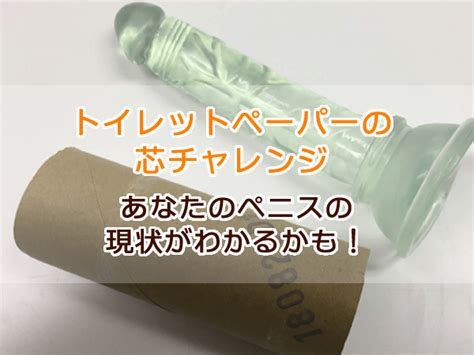 トイレットペーパーを使ったペニスの大きさと太さの測り方を紹介！｜風じゃマガジン