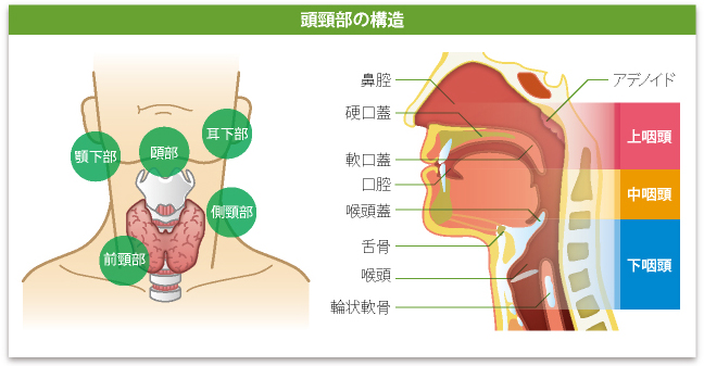 チョークスリーパー｜その男、方向音痴につき