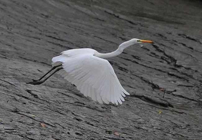 バングラデシュの世界遺産の数はいくつある？それぞれを一覧にして世界遺産マニアが解説世界遺産マニア