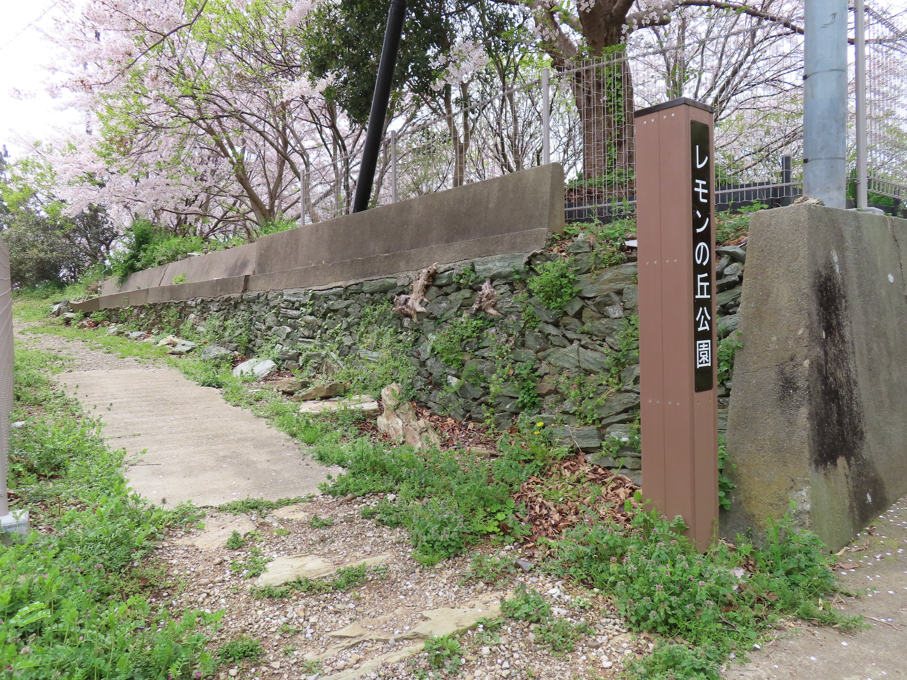 横須賀市 長井海の手公園ソレイユの丘 横須賀市長井 の口コミ 16件エキテン