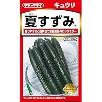 夏すずみという品種のきゅうりを育てています。昨日まではとて｜園芸相談Q＆A｜みんなの趣味の園芸