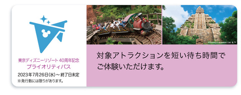 優先入場整理券 東京ディズニーランド 東京ディズニーシー アトラクション 優先券