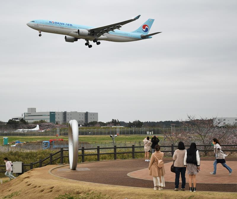 さくらの山公園とひこうきの丘で飛行機を見送ってきた