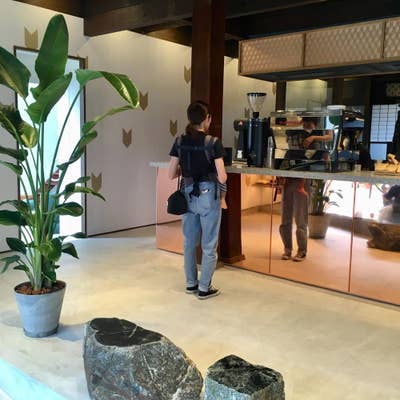 岡山の可愛いキツネカフェテイクアウト専門の隠れ家