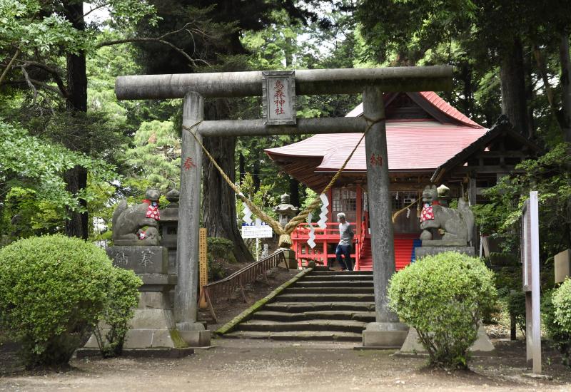 釣り堀栃木県のお店・スポット情報栃ナビ