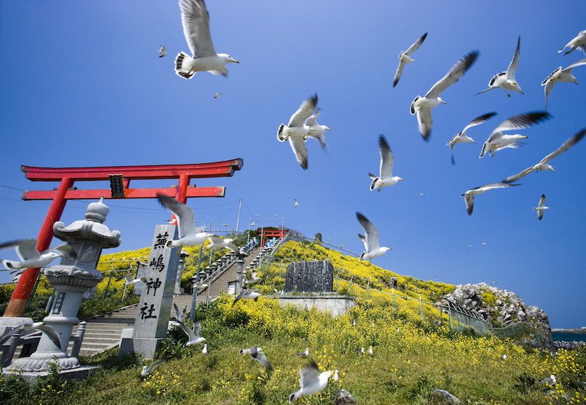 火災で焼失した三陸復興国立公園内「蕪嶋神社」再建を支援しよう - Yahoo!ネット募金