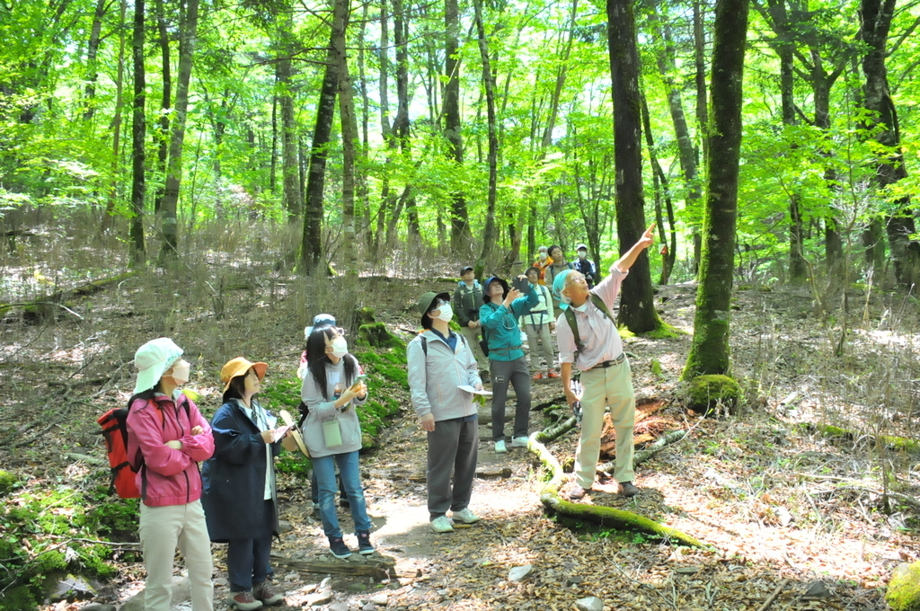 癒しの森住宅・モクリカ（MOKURICA） – 長野県安曇野市の注文住宅