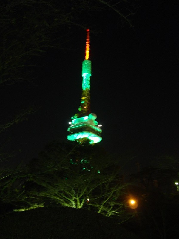 宇都宮タワーに行ってみた小さい動物園も無料！？- 興味のままに解説する研究者