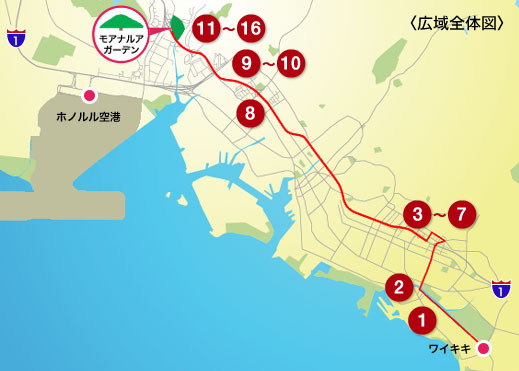 モアナルア・ガーデン この木なんの木「日立の樹」いそぽんハワイハワイ旅行が200%楽しくなるツアー体験記