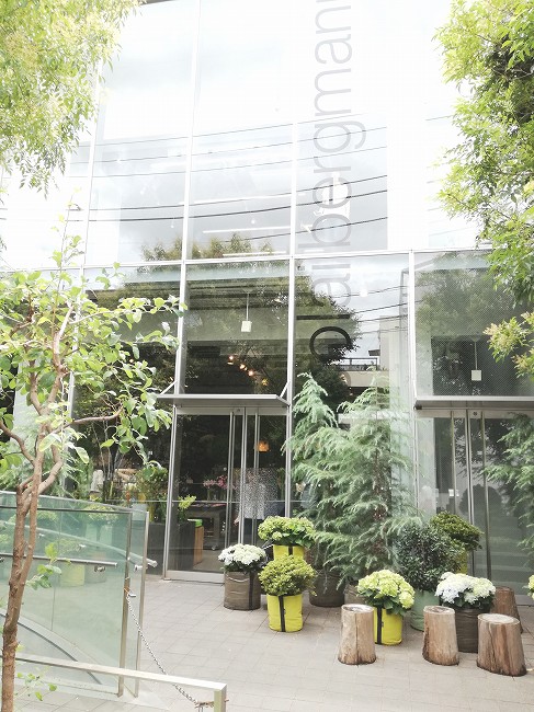 最高の居心地 ニコライバーグマンのカフェ「Nomu Cafe」は予約できる？待ち時間はどれぐらい？メニューもまとめてご紹介！ナッシュ研究所