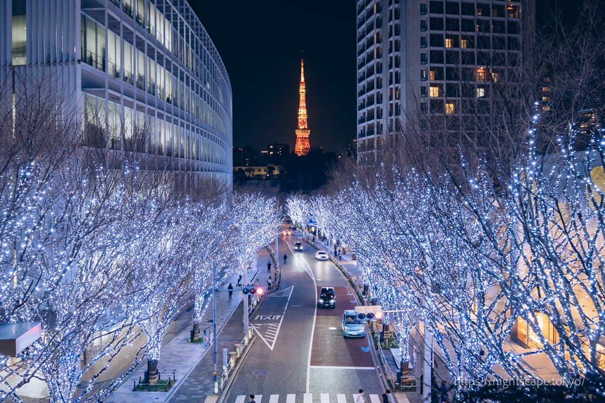 六本木 けやき坂通りのイルミネーション 写真素材6240840- フォトライブラリ