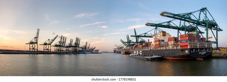 Culines-最新のニュース