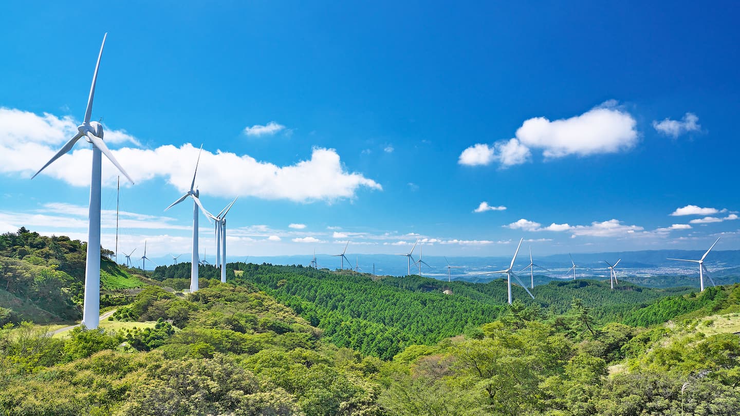 2025年保存版 那須の穴場スポット13選！地元民おすすめの観光名所をエリア別に紹介NEWT ニュート