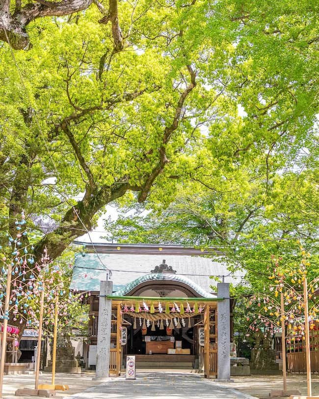 2025年保存版 福岡のパワースポット完全ガイド！開運・金運・恋愛運アップの聖地10選NEWT ニュート