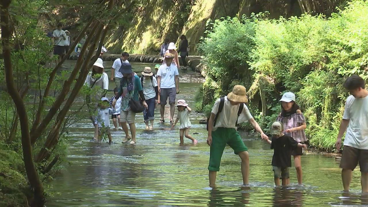 岳切渓谷 大分県宇佐市院内町 ・写真満載九州観光