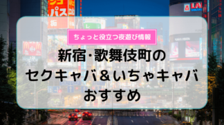 2024年最新】金沢繁華街でのコンパニオン宴会(金沢駅周辺、片町)｜スーパーコンパニオン宴会旅行なら宴会ネット