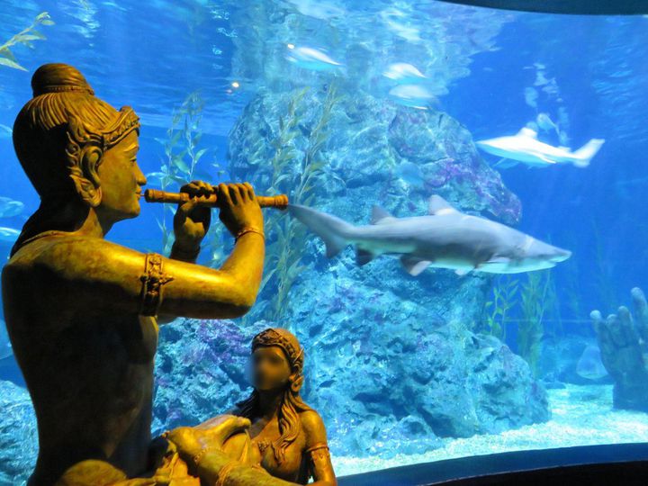 シーライフ・バンコク・オーシャン・ワールド公式 タイ国政府観光庁