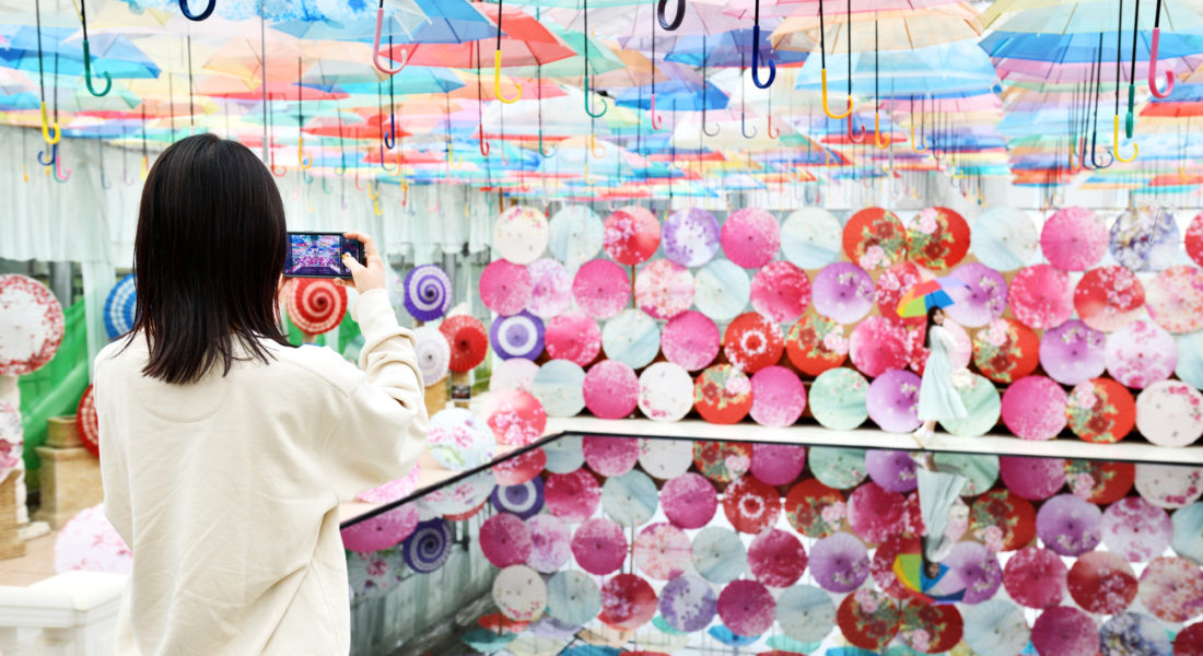 猪苗代ハーブ園@ホテルリステル猪苗代 コキアやアンブレラスカイで人気の福島の観光スポットJREメディア