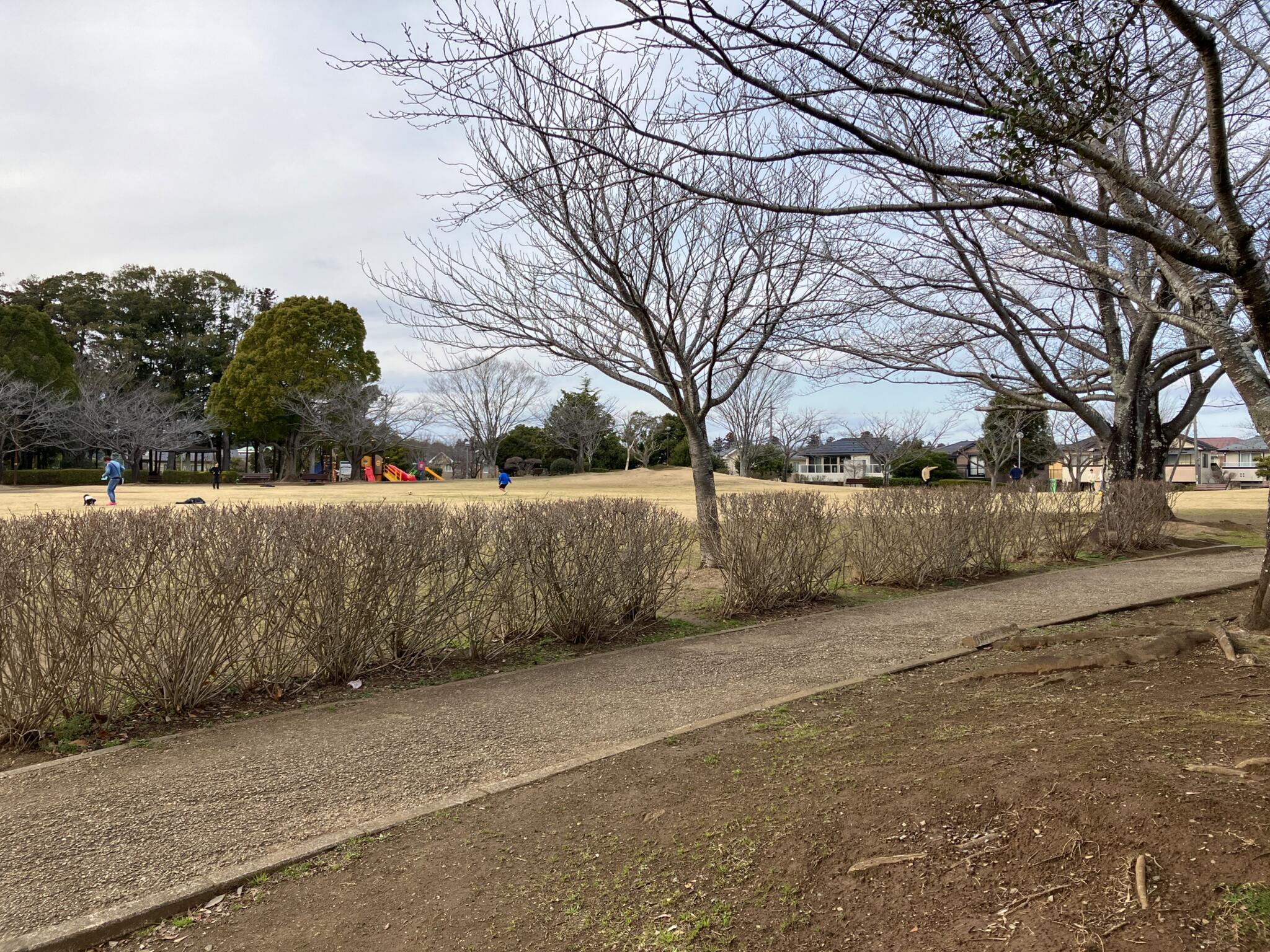 ホームズ】サンクレイドル千城台パークフォート 4階の建物情報｜千葉県四街道市鷹の台1丁目6-89