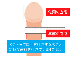 男性器の長さ！正しい測り方。アソコを医学的に測定する方法を東大卒の性器整形の専門医が解説。