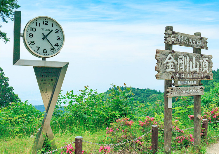 金剛山に登山！郵便道迂回路 不動道 →伏見道で高天彦神社から周回！とある関西人の外遊び