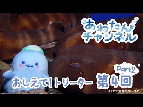 サンリオピューロランドで“推し活”を楽しもう OWV・CANDY TUNE・≠MEらアーティストとのコラボイベントもオリコンニュース ORICON