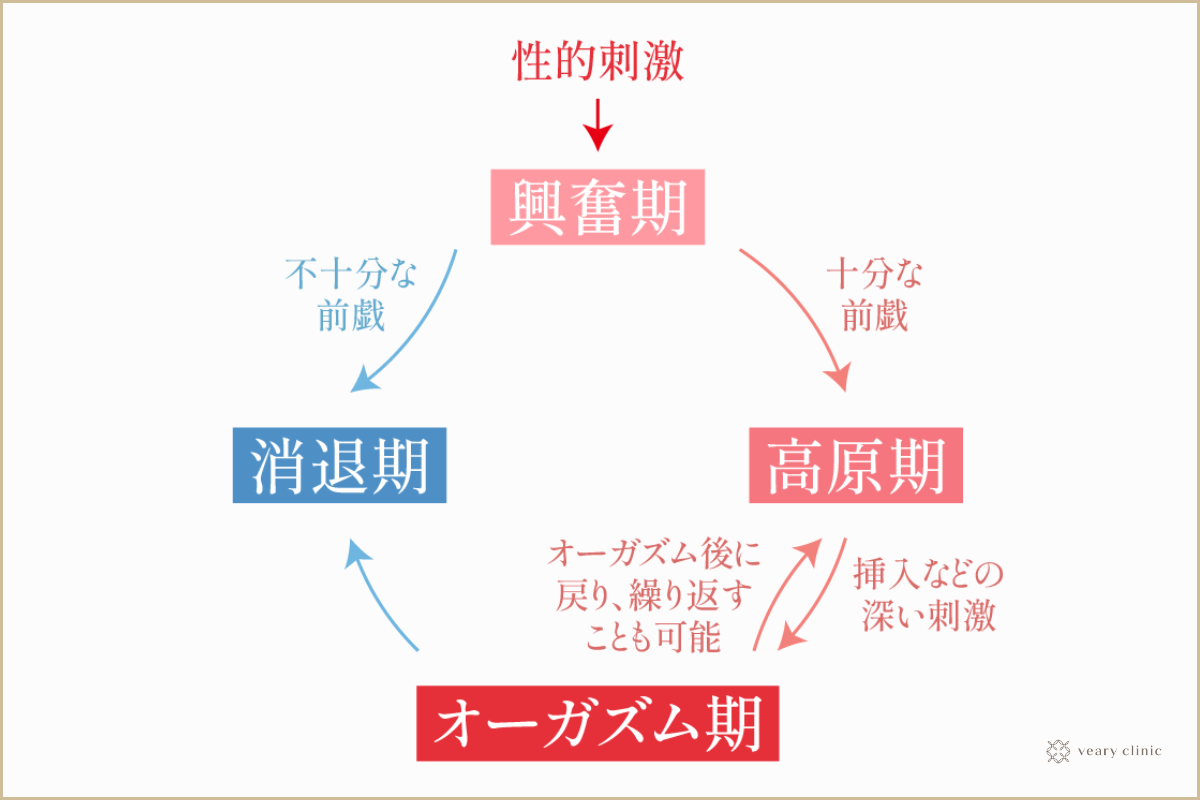 女子のセックス本音トーク】実際みんなイッてるの？イクためにはどうしたらいい？ - with class -講談社公式-