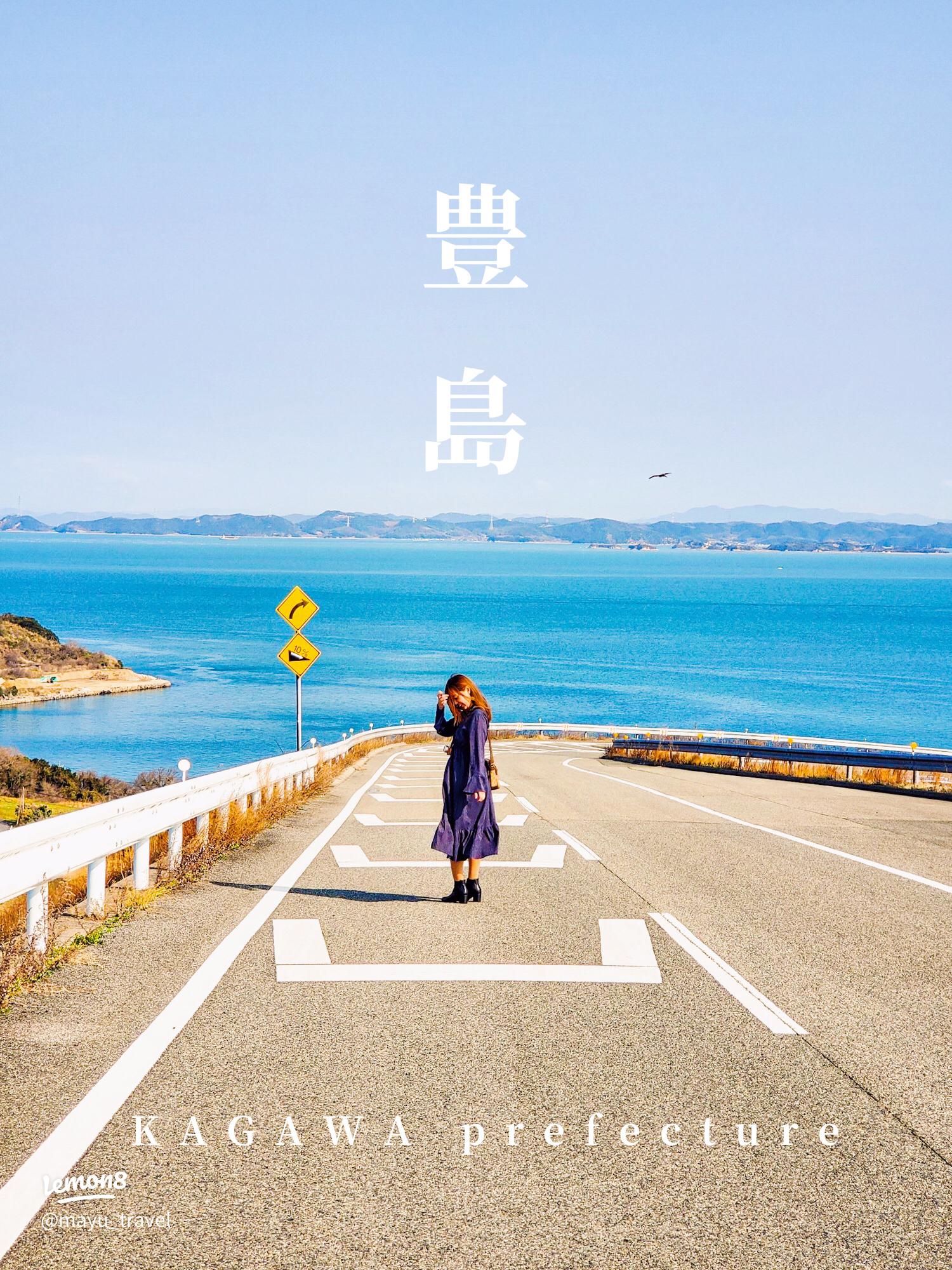 南極での活動南極旅行のクルーズ・ツアー・観光専門店 株 クルーズライフ