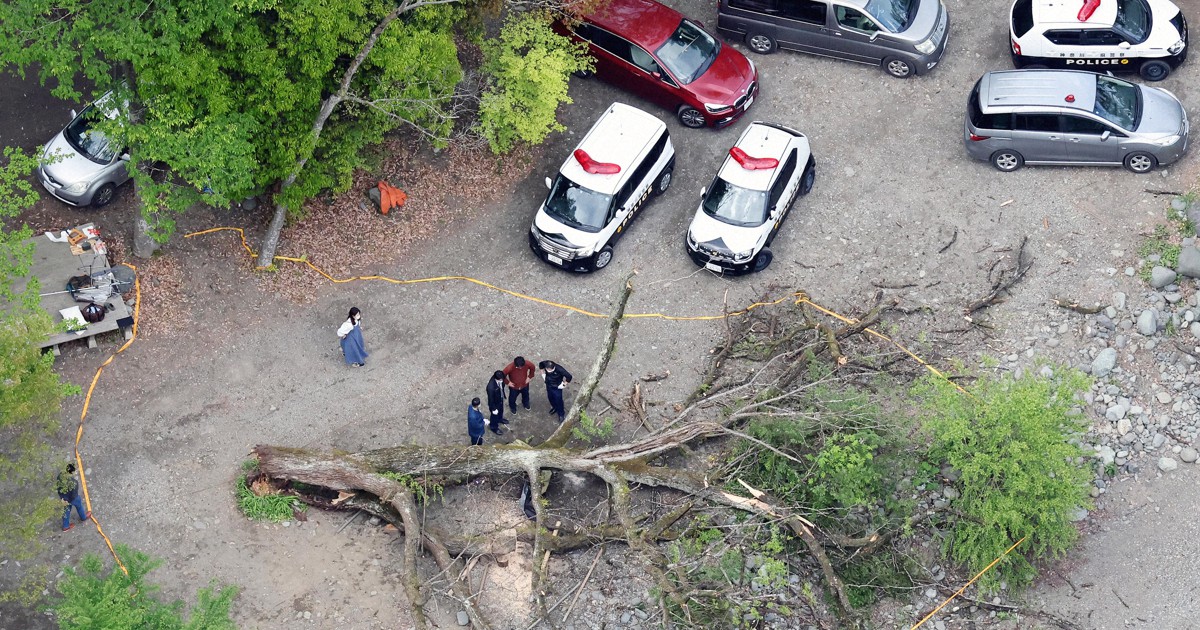 テントに倒木、1人死亡 相模原のキャンプ場 - 日本経済新聞