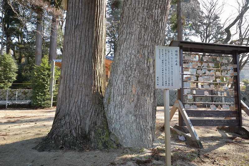 パワースポット - 津山瓦版