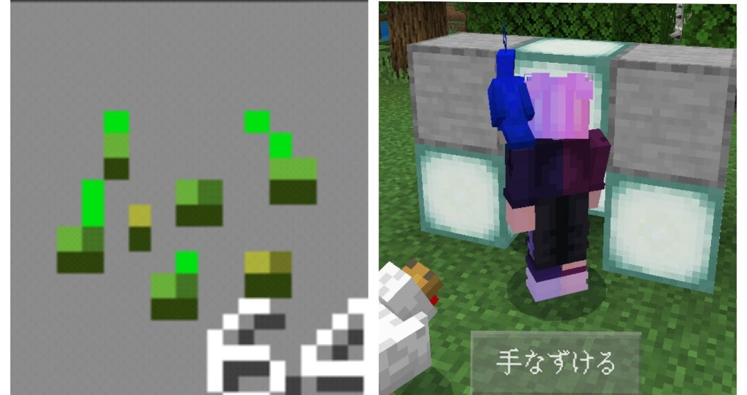 マイクラお役立ち情報！ オウムについて解説！高専生ののんびりブログ