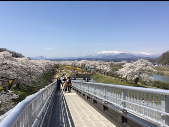 しばた千桜橋 – のの字な道