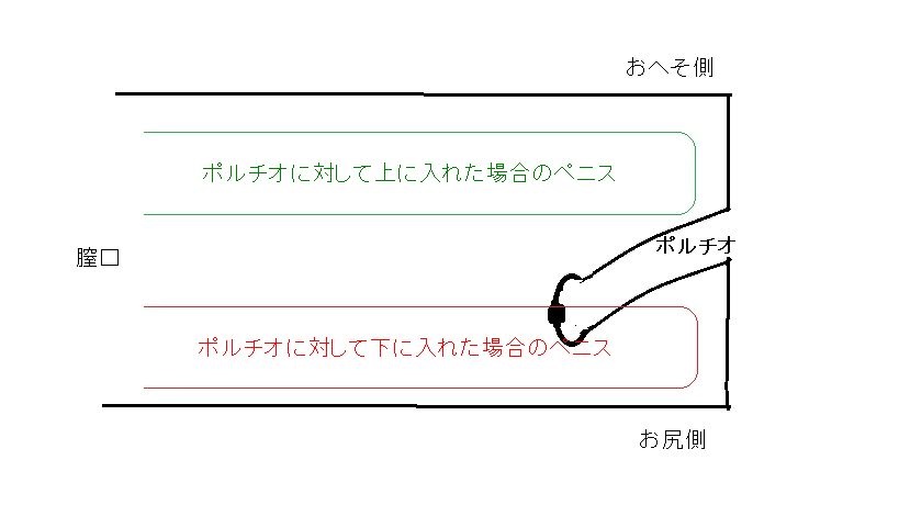 膣の中でペニスをポルチオの上や下、ウテルスセックスと切り替える - トーリー佐藤の愛の脳イキとポルチオセックスによる中イキ