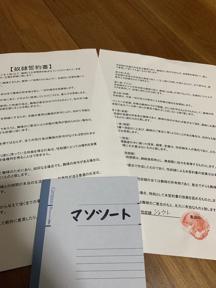 桃狐の地獄級羞恥調教課題～マゾ犬ペット奴○の最低お食事オナニー～ [桃狐の変態調教課題] レビュー一覧 |