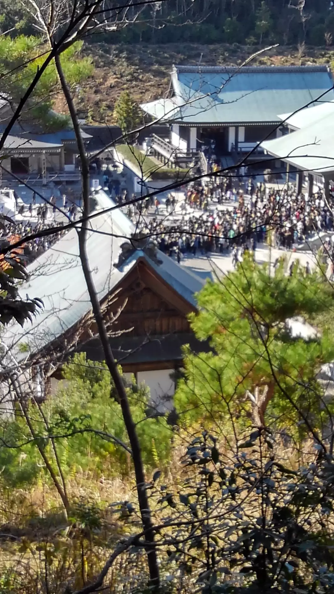 掛川駅⇔エコパ（愛野駅）】の間にあるアクセス抜群な格安ホテル７選 | コハコトリップ