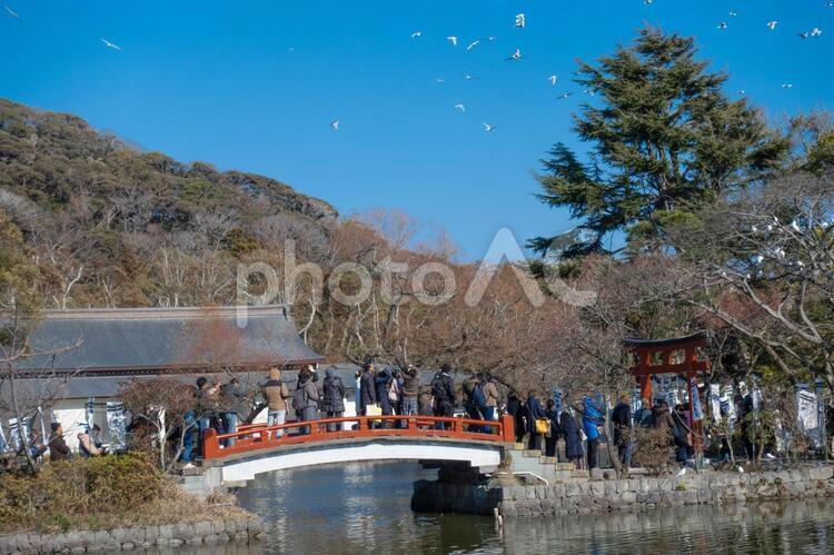鎌倉江の島七福神のススメ『弁財天』 - 江ノブン