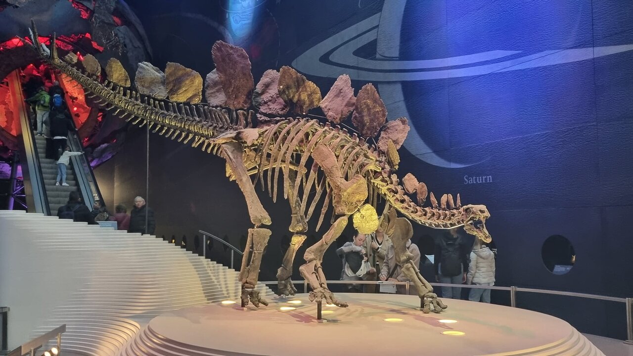 大英自然史博物館展-3 自然史を貫く精神 ☆モア・絶滅した巨鳥の痕跡を求め』上野・御徒町 東京 の旅行記・ブログ