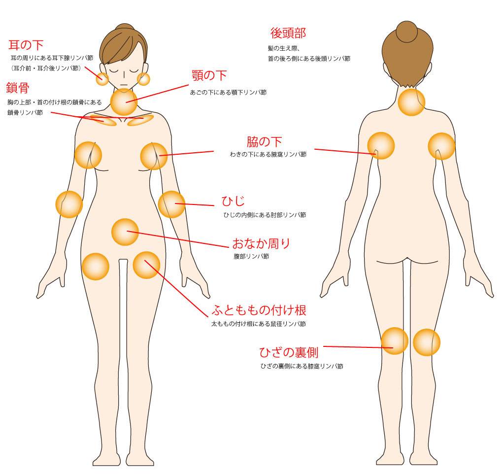 リンパの流れを図解！正しいリンパマッサージ でむくみを解消｜マガジン（美容情報・読み物）｜化粧品・スキンケア・基礎化粧品の通販｜オルビス公式オンラインショップ