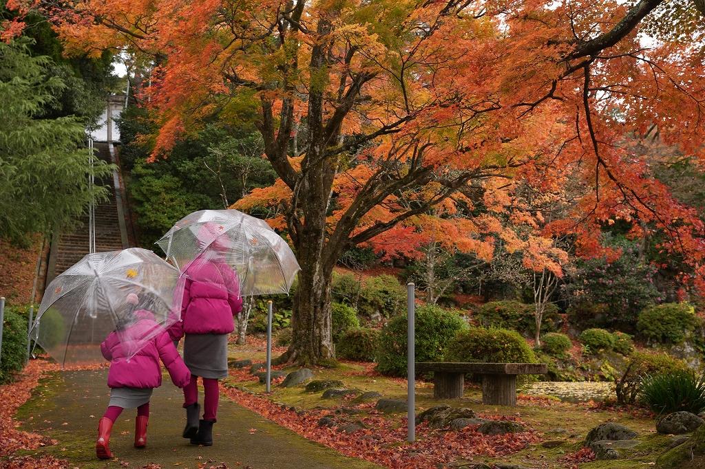 富山県 34 寺家公園富山市寺家