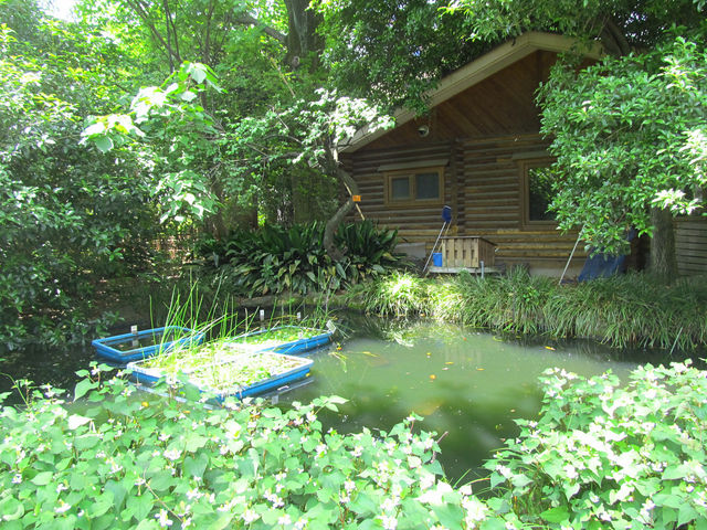 西東京いこいの森公園 | ひばりが丘・田無に暮らす