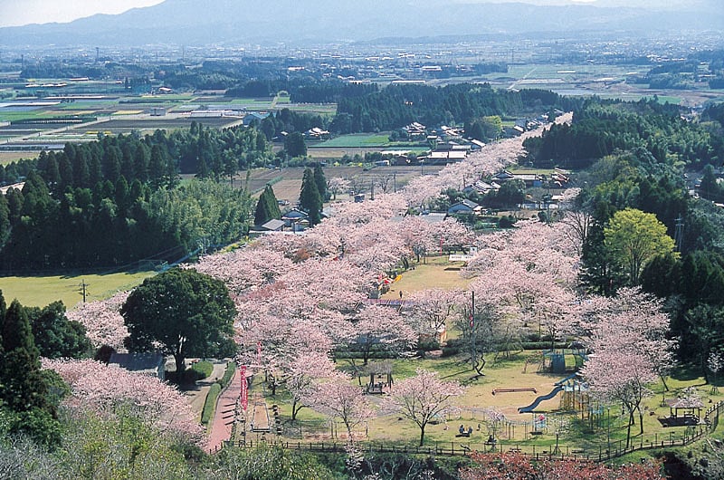 宮崎県都城市のホテル一覧 - NAVITIME