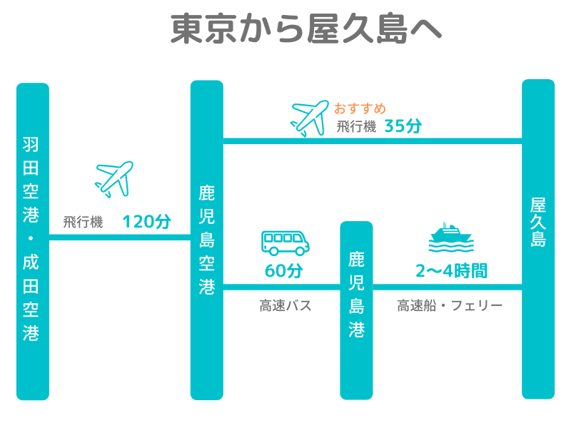 高速船フェリー航空機料金 大幅な割引実施晴ればれと屋久島
