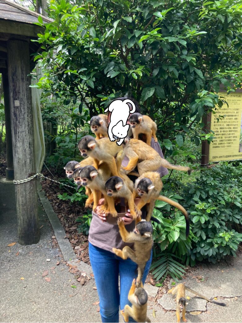 石垣やいま村石垣島・八重山 旅行の観光・オプショナルツアー予約 VELTRA ベルトラ