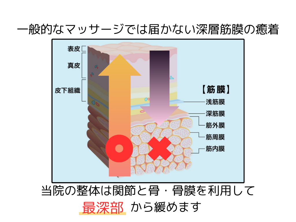 2024年最新】幡ヶ谷駅近整骨院・鍼灸院のあん摩マッサージ指圧師求人(パート・バイト) | ジョブメドレー